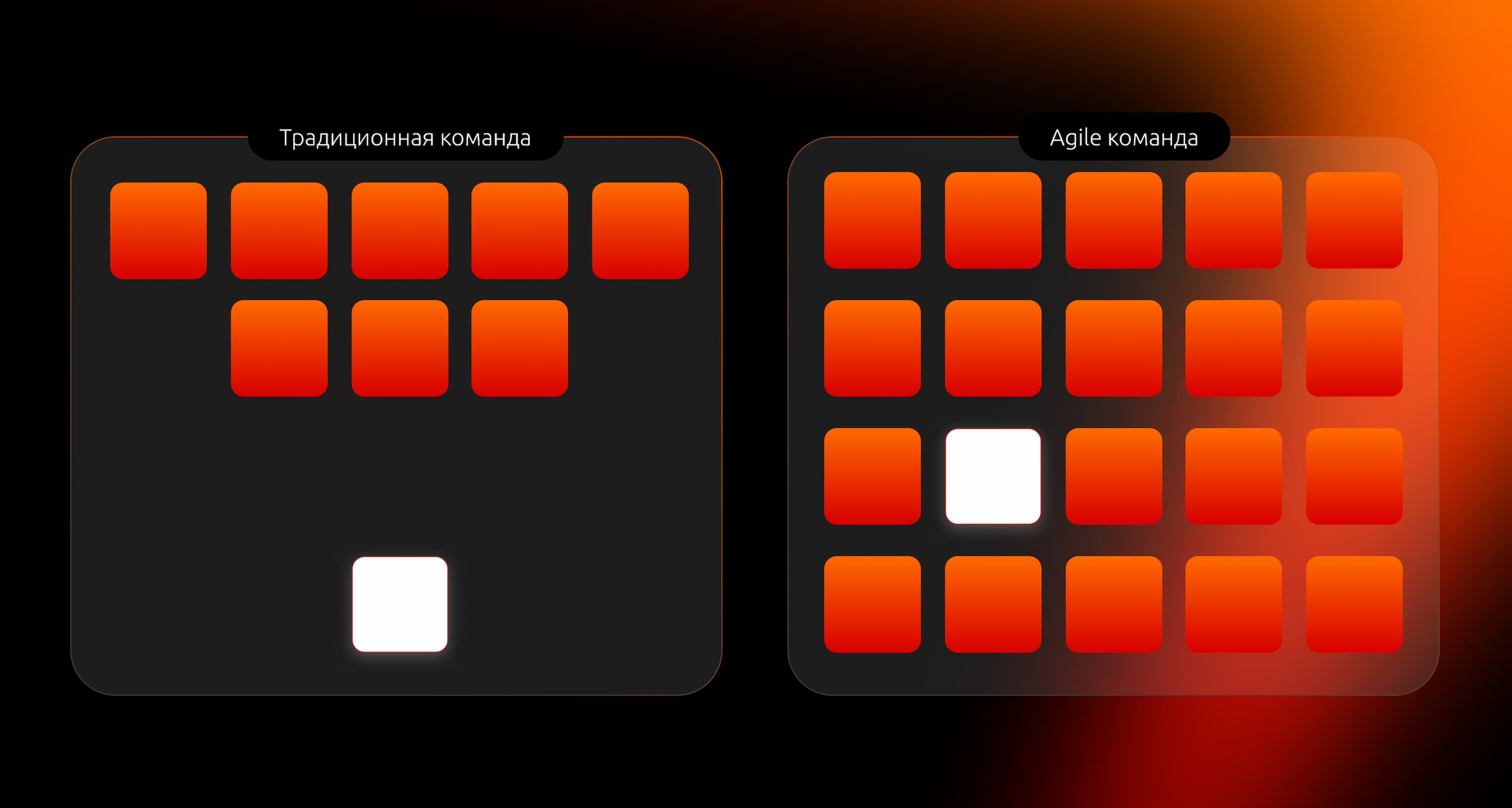 Статья 14 изображение 1